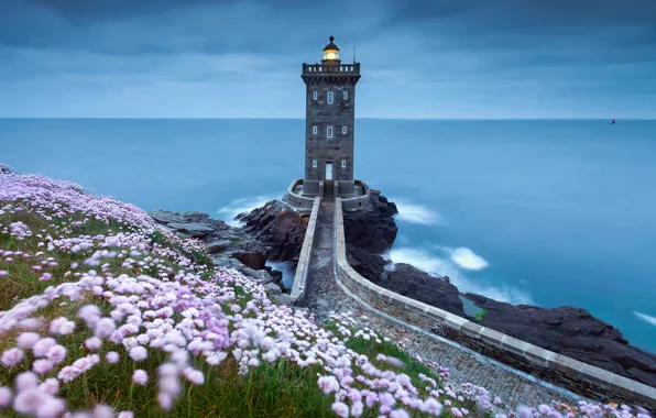 Картинка море, цветы, скалы, берег, маяк