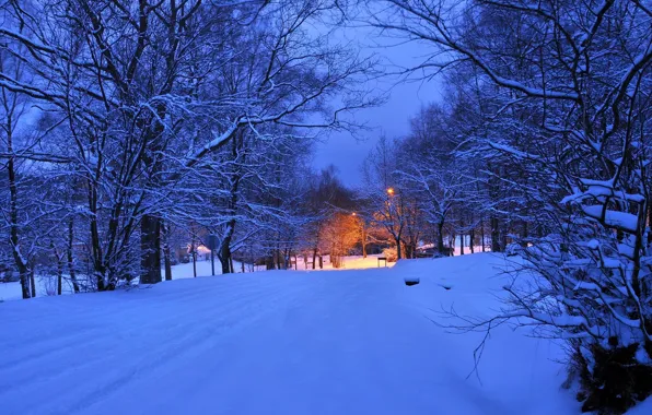 Картинка зима, дорога, свет, снег, деревья, ночь, огни, вечер