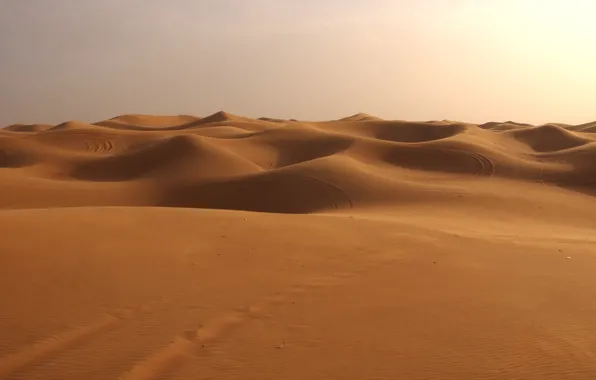 Пустыня, Песок, дюны