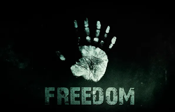 Сериал, freedom, свобода, Грань, 2013, За гранью