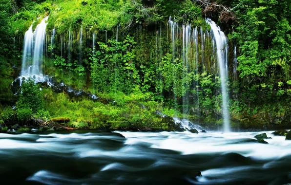 Картинка лес, природа, река, водопад, forest, river, nature, waterfalls