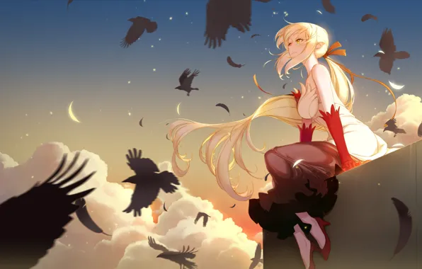 Небо, девушка, птицы, Bakemonogatari, Oshino Shinobu