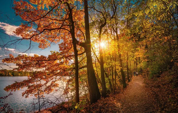 Картинка дорога, осень, лес, люди, утро