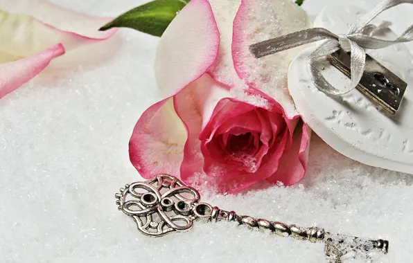 Love, rose, heart, winter, snow, key, romantic, lock