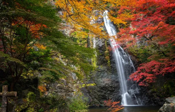 Осень, деревья, скала, парк, водопад, Япония, Japan, Osaka