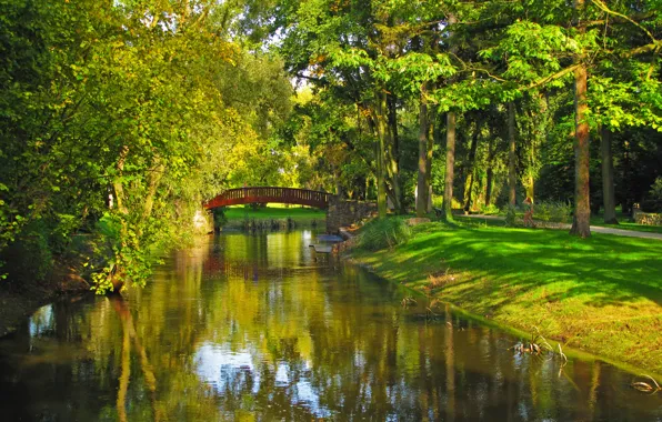 Картинка трава, деревья, мост, природа, парк, река, фото, Польша