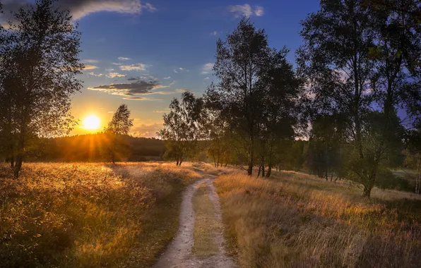 Картинка дорога, осень, закат, природа