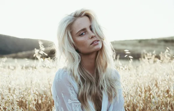Картинка поле, взгляд, девушка, природа, лицо, модель, блондинка, Allison Holton