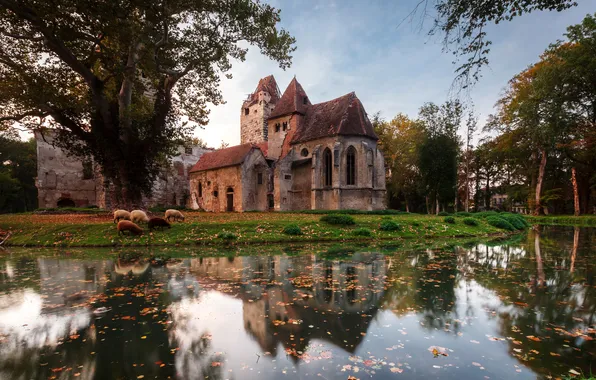 Картинка осень, вода, деревья, пруд, отражение, замок, овцы, Австрия