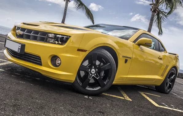 Chevrolet, Camaro, Yellow, Palms