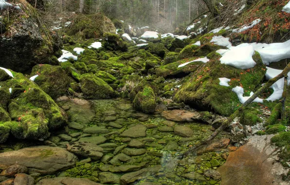 Картинка зелень, лес, вода, снег, река, камни, мох
