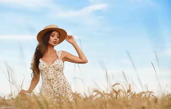 Картинка girl, sky, nature, clouds, model, women, brunette, wheat field