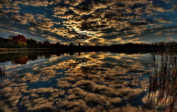 Картинка лес, небо, вода, отражение, Облака