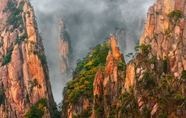 Картинка деревья, горы, туман, скалы, Китай, дымка, сосны, гранитные скалы