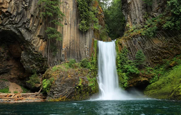 Картинка лес, деревья, скалы, водопад, США, Oregon, Toketee Falls