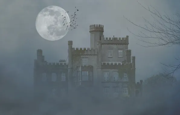 Картинка деревья, птицы, туман, замок, луна, мрак