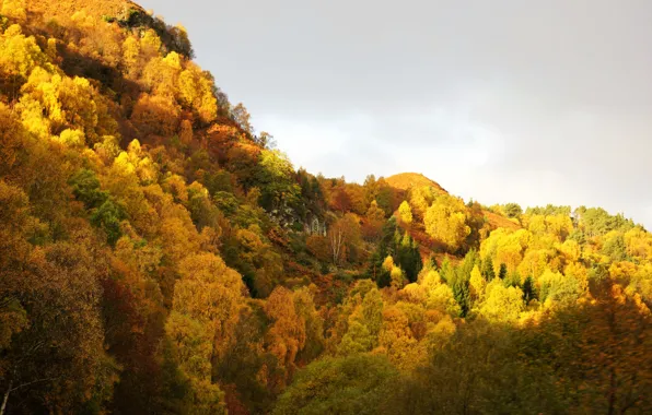 Autumn, mountains, leaves, autumn colors, sunlight, fall, foliage, cloudy