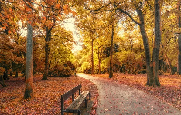 Картинка осень, листья, деревья, парк, путь, скамейки