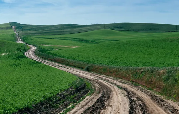 Картинка Country Road, За холмами, Rolling Hills