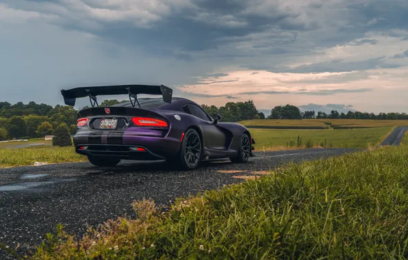 Dodge, Viper, road, field