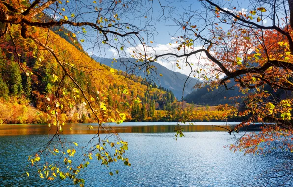 Осень, лес, небо, листья, солнце, облака, деревья, горы