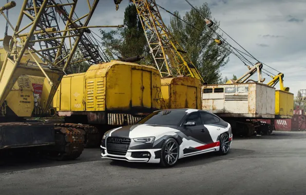 Audi, Vossen
