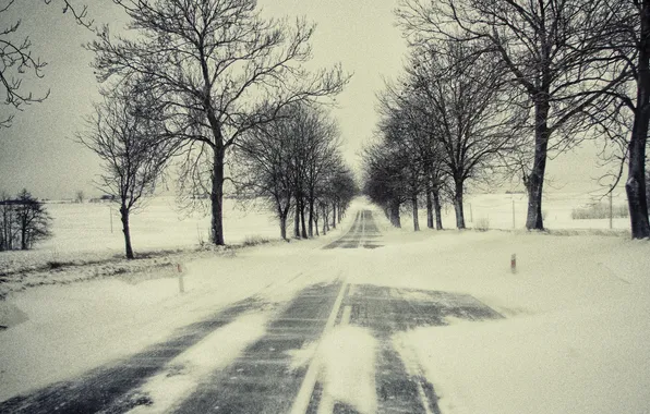 Картинка зима, дорога, снег, деревья, ветки