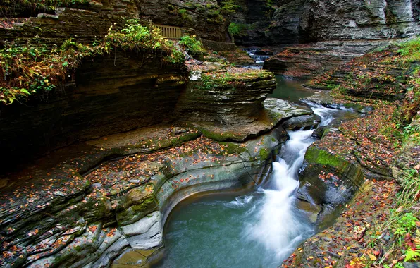 Картинка осень, река, скалы, поток, ущелье