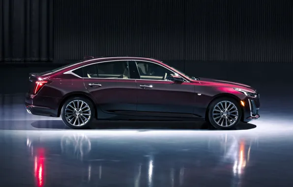 Cadillac, вид сбоку, 2020, Premium Luxury, CT5