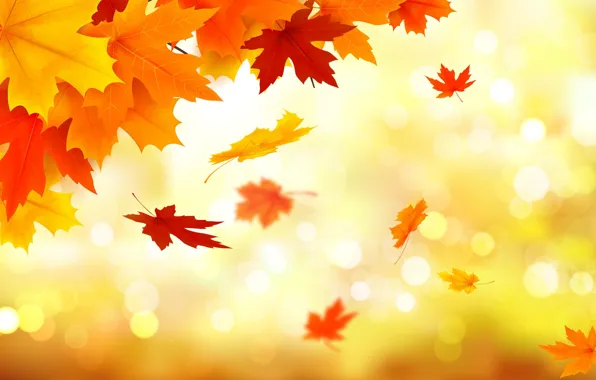 Картинка осень, листья, фон, colorful, клен, background, autumn, leaves