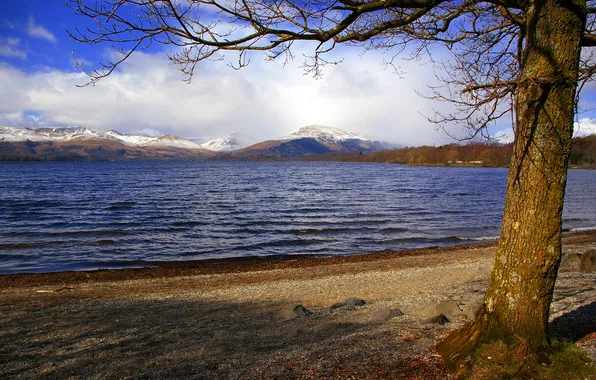 Картинка небо, горы, озеро, дерево, Шотландия, Лох-Ломонд