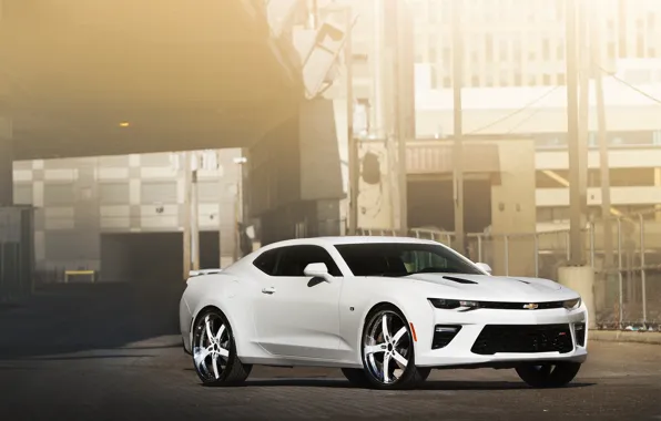 Картинка white, camaro, chevrolet, forged, vellano