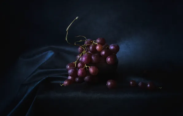 Ягоды, виноград, гроздь