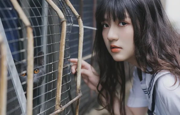 Beautiful, Asian, Model, Cat, Woman, Pretty, Uniform, Close Up