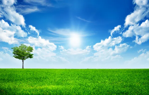 Небо, трава, облака, дерево, green, grass, sky, trees