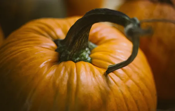 Тыква, halloween, pumpkins