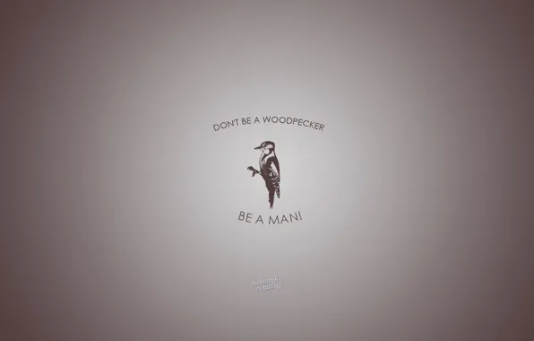 Серый, дятел, Животные, коричневый, dont