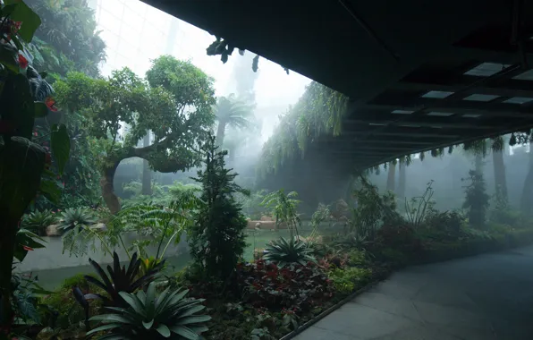 Картинка Сингапур, Singapore, ботанический сад, Gardens By The Bay, Cloud Forest