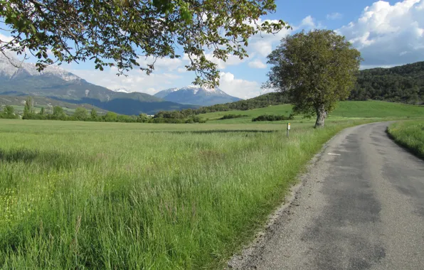 Mountain, France, Provence, Green Grass Field