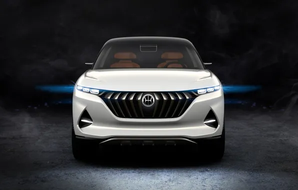 Вид спереди, Hybrid, 2018, кроссовер, Pininfarina, Kinetic, K350