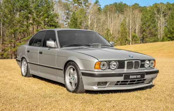 Картинка BMW, E34, 5-Series, M5