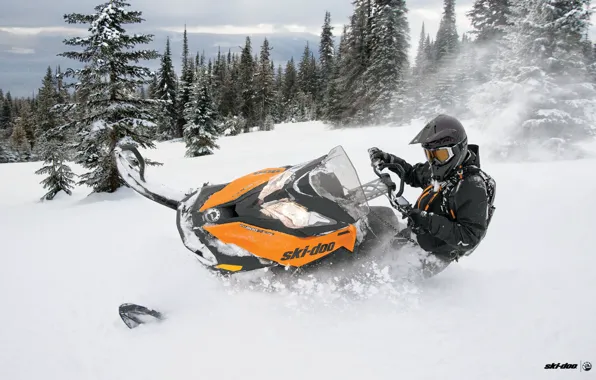 Снегоход, 800, Summit, snowmobile, BRP, Ski Doo