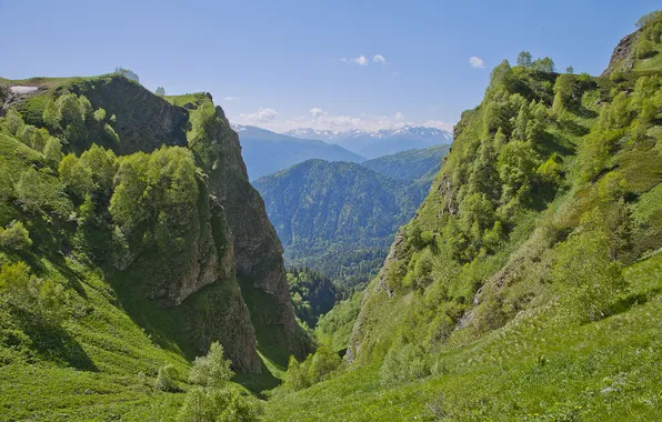 Зелень, лето, небо, облака, деревья, горы, голубой