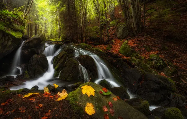 Картинка осень, лес, листья, пейзаж, горы, природа, камни, водопад