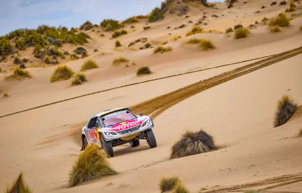 Спорт, Скорость, Гонка, Грязь, Peugeot, Фары, Red Bull, Rally