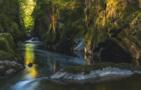 Forest, river, trees, nature, rocks, Wales, moss, cliff