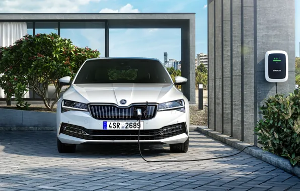 Skoda, Superb, 2019, Superb iV