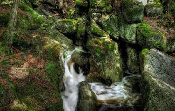 Картинка река, ручей, камни, скалы, мох, поток