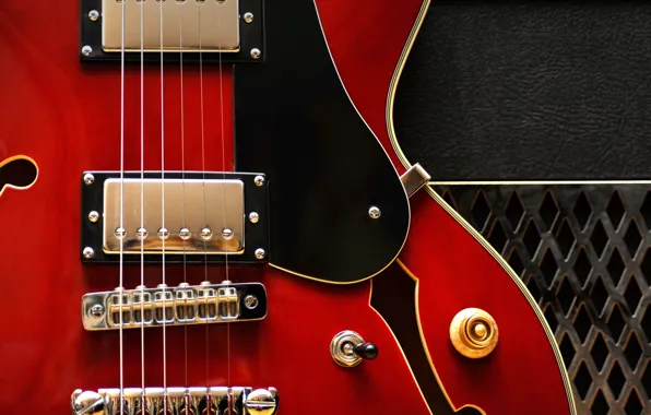 Макро, струны, электрогитара, Gibson 335