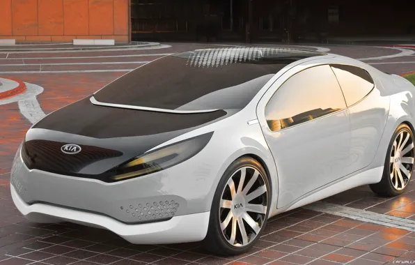 Car, concept, kia, ray